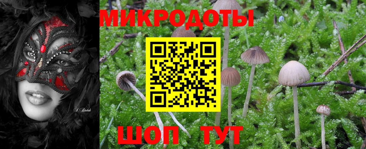 Галлюциногенные грибы GOLDEN TEACHER  Вход с VPN  Малоярославец  Псилоцибиновые грибы мухоморы 