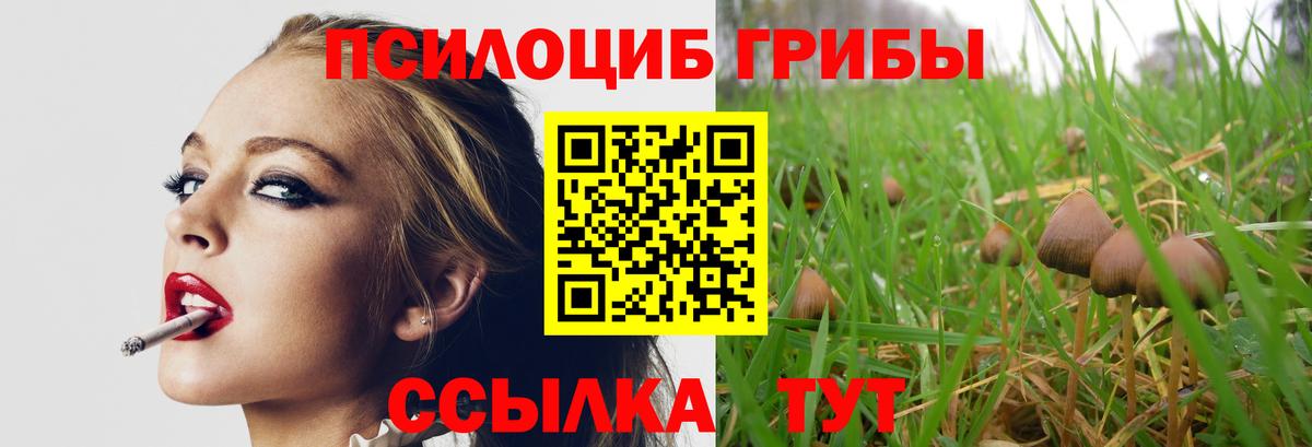 Галлюциногенные грибы Psilocybine cubensis Малоярославец